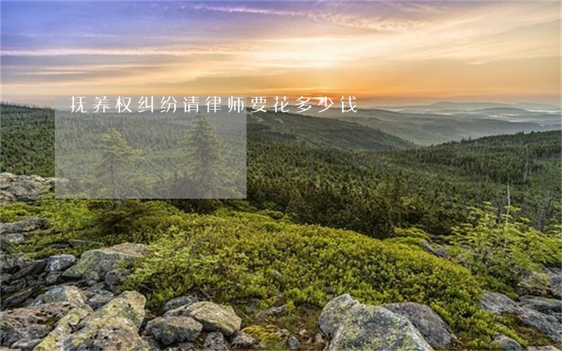 抚养权纠纷请律师要花多少钱