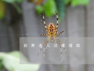 抚养老人法律援助