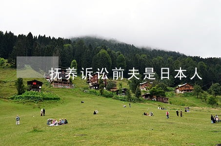 抚养诉讼前夫是日本人