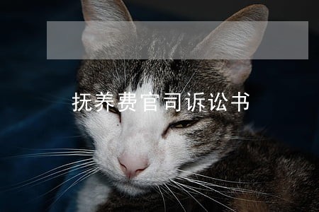 抚养费官司诉讼书 抚养费官司诉讼书