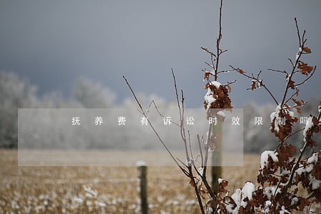 抚养费有诉讼时效限制吗 抚养费有诉讼时效限制吗