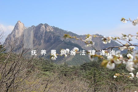 抚养费纠纷法律咨询 抚养费纠纷法律咨询