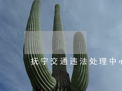 抚宁交通违法处理中心电话 抚宁交通违法处理中心电话