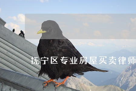 抚宁区专业房屋买卖律师咨询电话 抚宁区专业房屋买卖律师咨询电话