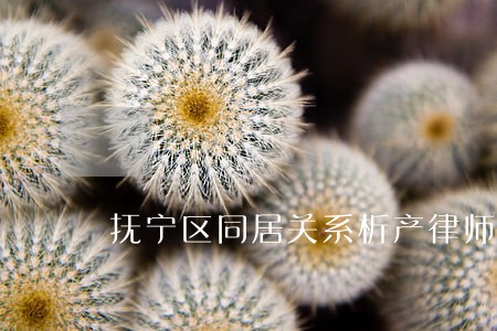抚宁区同居关系析产律师推荐