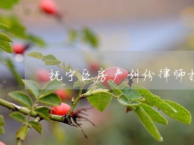 抚宁区房产纠纷律师报价 抚宁区房产纠纷律师报价