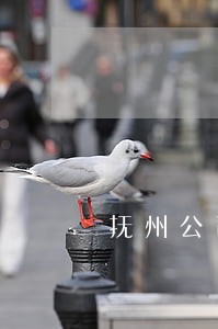 抚州公司并购律师 抚州公司并购律师