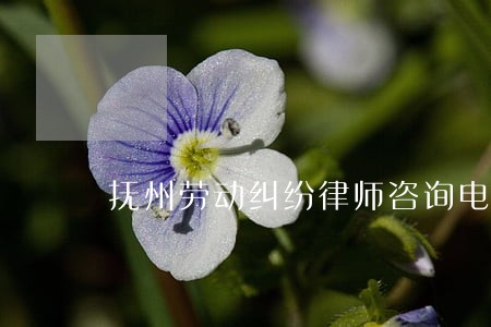 抚州劳动纠纷律师咨询电话 抚州劳动纠纷律师咨询电话