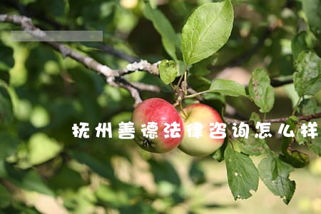 抚州善德法律咨询怎么样 抚州善德法律咨询怎么样