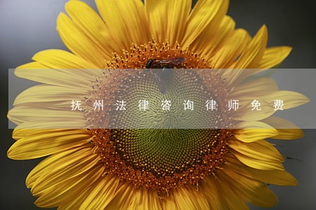 抚州法律咨询律师免费 抚州法律咨询律师免费