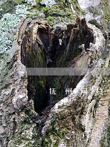 抚州网贷逾期退保 抚州网贷逾期退保