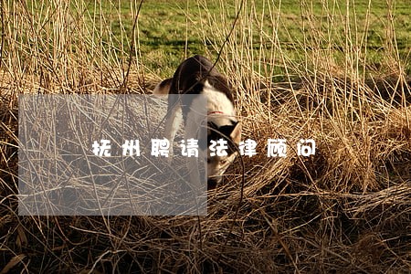 抚州聘请法律顾问 抚州聘请法律顾问