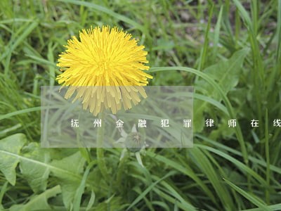 抚州金融犯罪律师在线咨询 抚州金融犯罪律师在线咨询