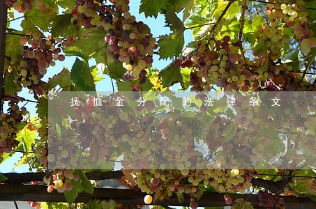 抚恤金分配的法律条文