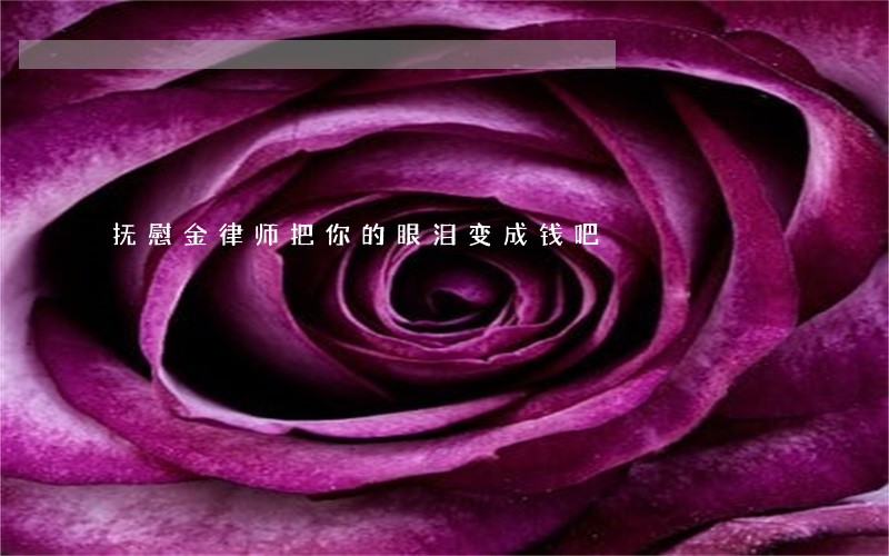 抚慰金律师把你的眼泪变成钱吧 抚慰金律师把你的眼泪变成钱吧