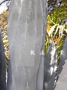 抚远专业商事诉讼律师 抚远专业商事诉讼律师