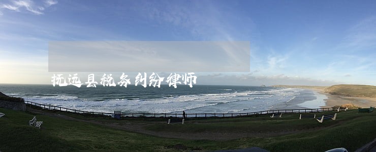 抚远县税务纠纷律师
