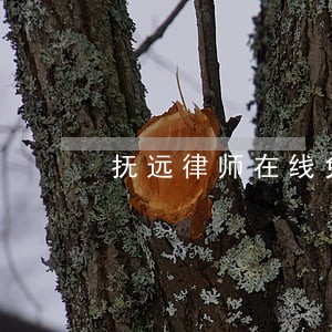 抚远律师在线免费法律咨询
