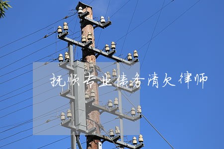 抚顺专业债务清欠律师 抚顺专业债务清欠律师
