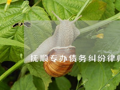 抚顺专办债务纠纷律师 抚顺专办债务纠纷律师