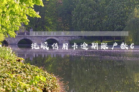 抚顺信用卡逾期账户数6 抚顺信用卡逾期账户数6