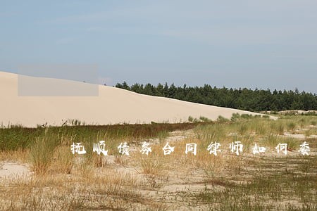 抚顺债务合同律师如何委托 抚顺债务合同律师如何委托