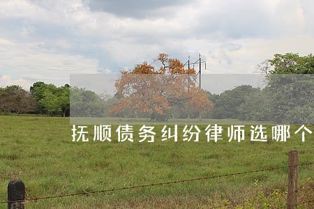 抚顺债务纠纷律师选哪个 抚顺债务纠纷律师选哪个