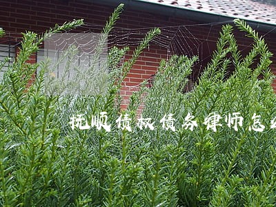 抚顺债权债务律师怎么收费 抚顺债权债务律师怎么收费