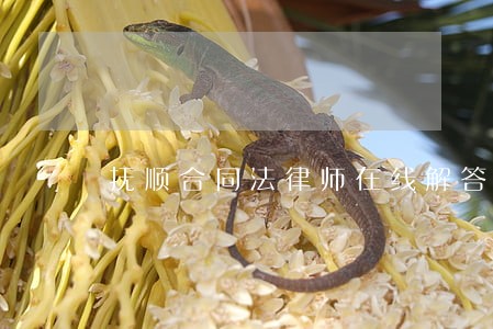 抚顺合同法律师在线解答 抚顺合同法律师在线解答