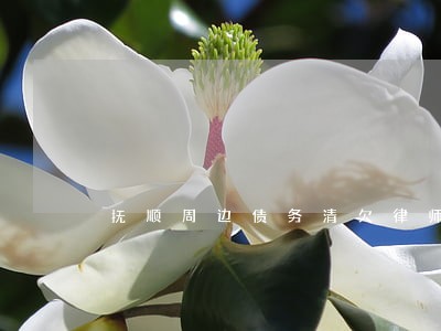 抚顺周边债务清欠律师选哪个 抚顺周边债务清欠律师选哪个