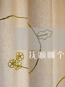 抚顺哪个律师事务所好 抚顺哪个律师事务所好