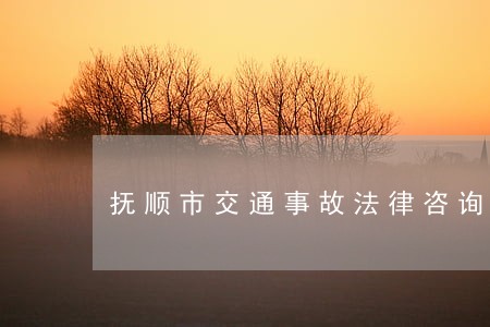 抚顺市交通事故法律咨询 抚顺市交通事故法律咨询