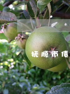 抚顺市债务合同律师联系方式 抚顺市债务合同律师联系方式