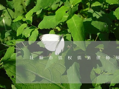 抚顺市债权债务律师预约电话 抚顺市债权债务律师预约电话