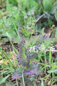 抚顺市法院待遇 抚顺市法院待遇