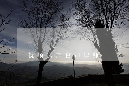 抚顺房产官司律师
