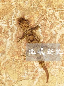 抚顺新抚有法律咨询处吗