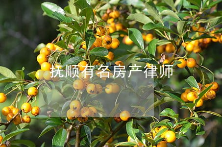 抚顺有名房产律师 抚顺有名房产律师