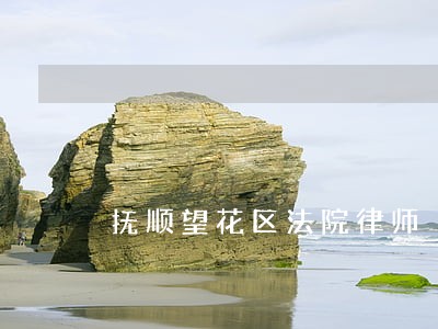 抚顺望花区法院律师 抚顺望花区法院律师