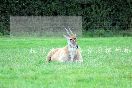 抚顺本地债务合同律师排名 抚顺本地债务合同律师排名