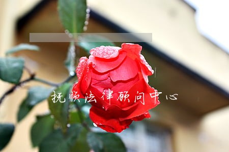 抚顺法律顾问中心