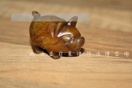 抚顺盗窃案律师法律咨询 抚顺盗窃案律师法律咨询