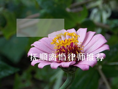 抚顺离婚律师推荐 抚顺离婚律师推荐