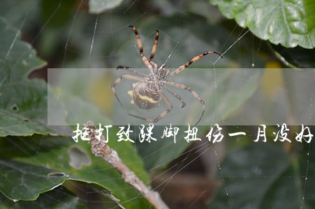 抠打致踝脚扭伤一月没好诉讼