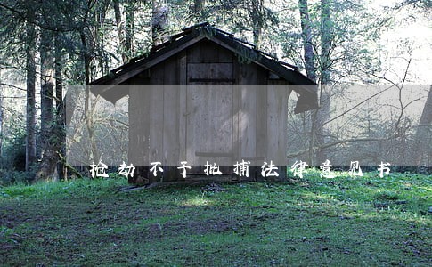 抢劫不予批捕法律意见书