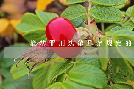 抢劫罪刑法第几条规定的 抢劫罪刑法第几条规定的