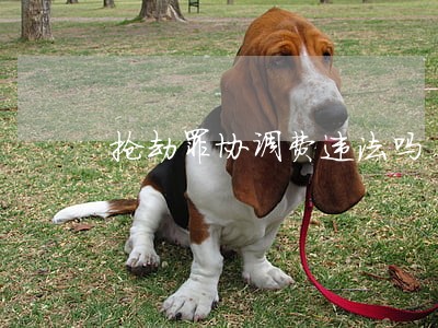 抢劫罪协调费违法吗