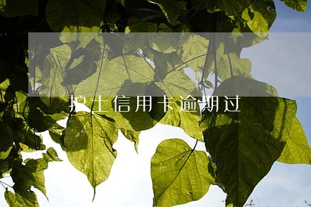 护士信用卡逾期过