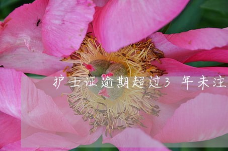 护士证逾期超过3年未注册 护士证逾期超过3年未注册