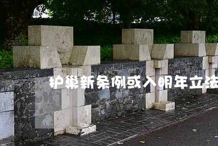 护巢新条例或入明年立法计划 护巢新条例或入明年立法计划